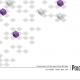 Envelope Polo 1