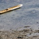 Canoa