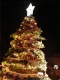 Gramado 1