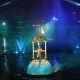 Show 8